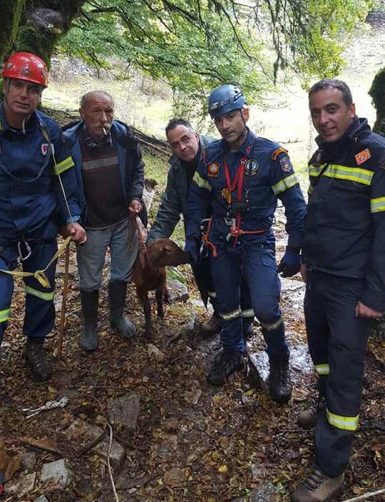 EpirusPost • Ειδήσεις, Ιωάννινα, Άρτα, Πρέβεζα, Θεσπρωτία • katsika emak1