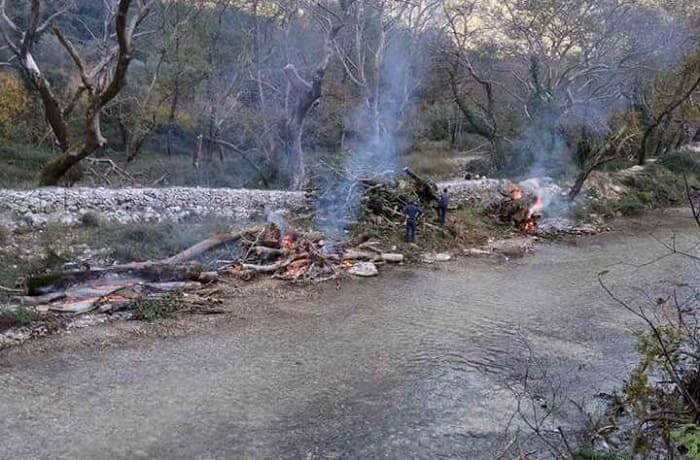 Τα πλατάνια πεθαίνουν και στον Λούρο 1 platania louros