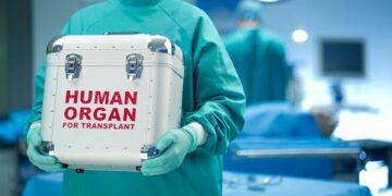 dorea organon