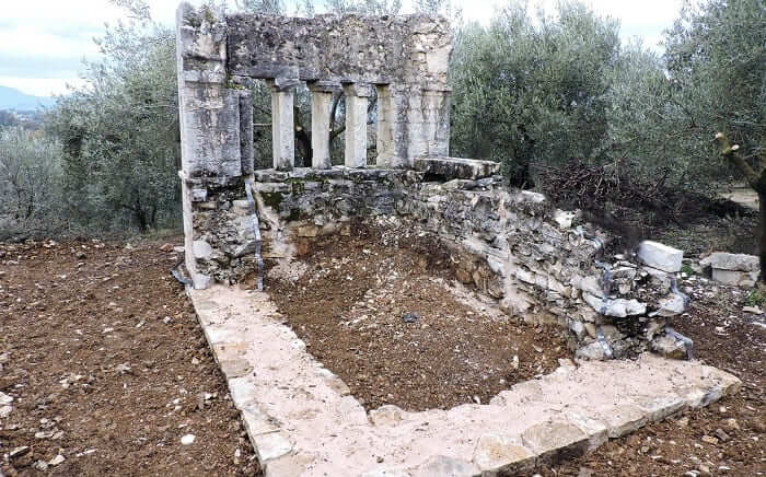 pandimia istoria