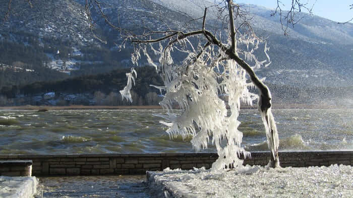 pagomeni paralimnios