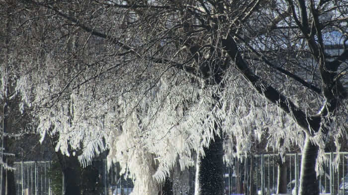 Παραλίμνιος από… κρύσταλλα! ΦΩΤΟ 3 pagomeni paralimnios7