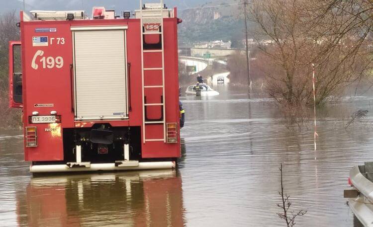 pirosvestiki plimmira pedini