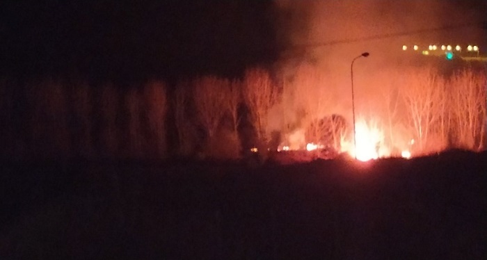 Μεγάλη φωτιά στην Γκρίκα Θεσπρωτίας 1 fotia gkrika1