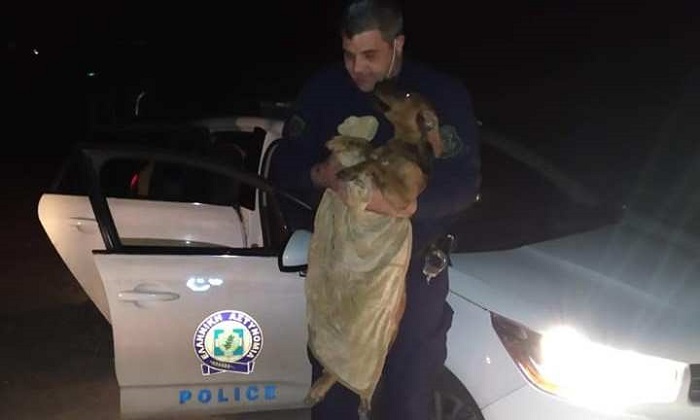 astinomikos adespoto