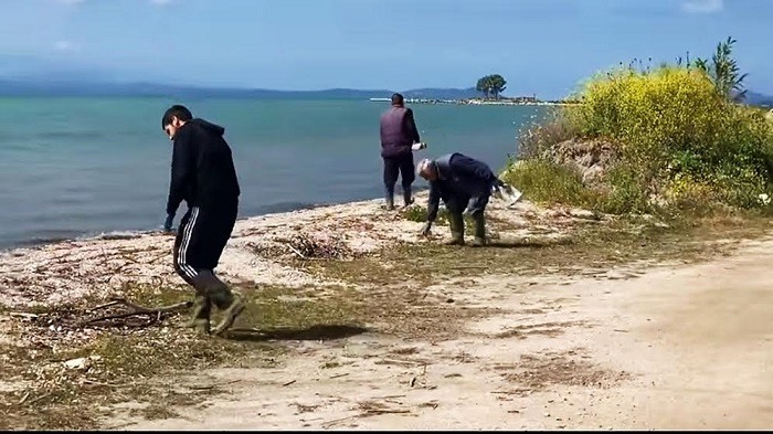 neoxori limnotalassa