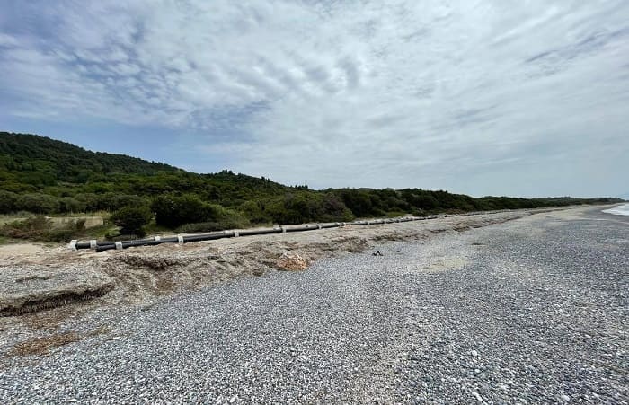 artolitia viologikos1