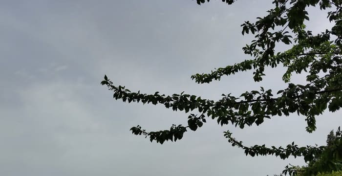 dentro ouranos skoni