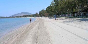 drepano paralia