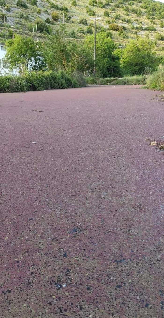 Κοκκίνισαν τμήματα στην επιφάνεια της λίμνης 1 lpllomo omo1