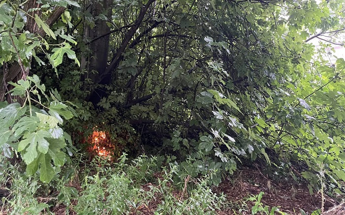 limnopoula vraxikikloma