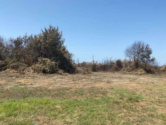 Ξεκίνησαν καθαρισμοί στα καμένα της Άρτας 1 apokatastasi kamenon1