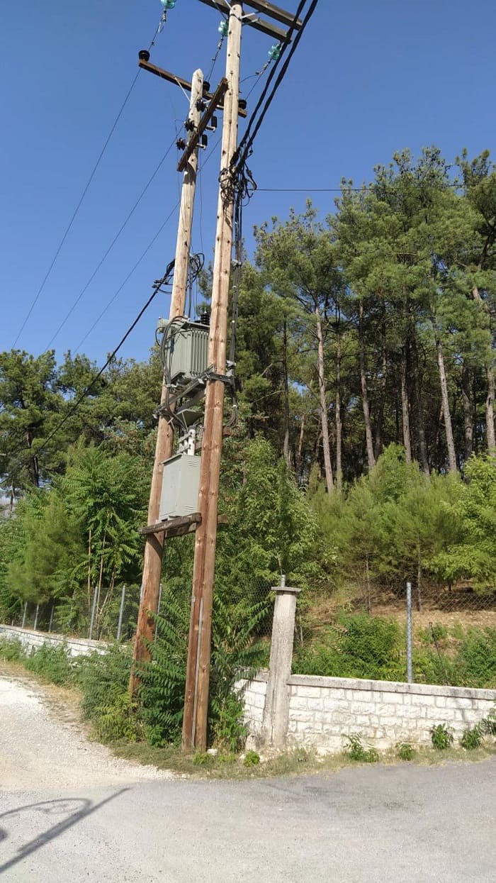 Δέντρα και δίκτυο της ΔΕΗ έχουν γίνει ένα! 1 dentro diktio34