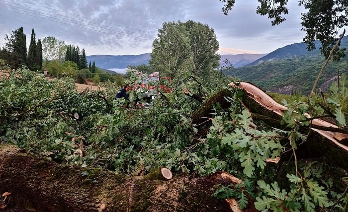 EpirusPost • Ειδήσεις, Ιωάννινα, Άρτα, Πρέβεζα, Θεσπρωτία • kataigida zimies2