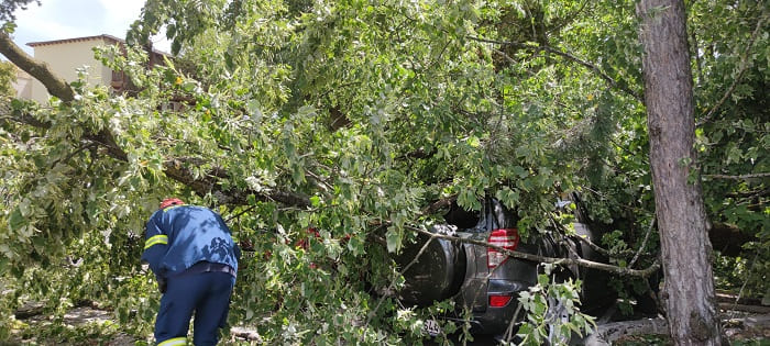 Κατέρρευσε δέντρο στο Grand Serai, ζημιές σε αυτοκίνητα- ΦΩΤΟ 2 serai dentro2