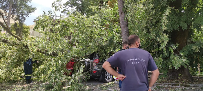 Κατέρρευσε δέντρο στο Grand Serai, ζημιές σε αυτοκίνητα- ΦΩΤΟ 4 serai dentro3