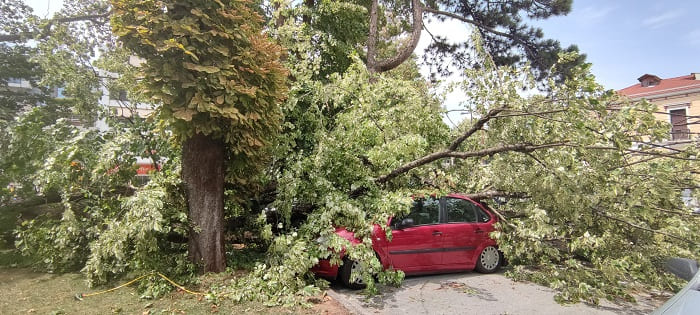 Κατέρρευσε δέντρο στο Grand Serai, ζημιές σε αυτοκίνητα- ΦΩΤΟ 7 serai dentro8