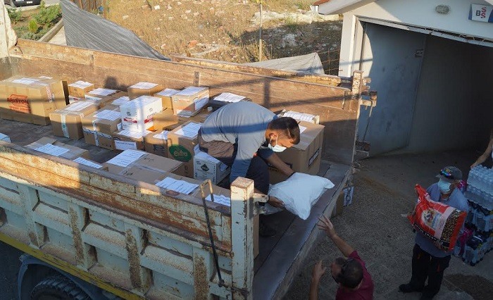 zitsa apostoli voiteias