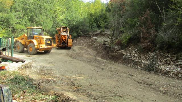 polistafilo geotrisi