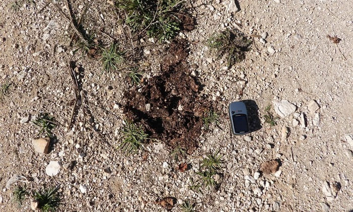 ixni arkoudas lapsista