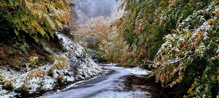 Πανδαισία χρωμάτων υπό το χιόνι στη Βάλια Κάλντα 1 valia kalnta