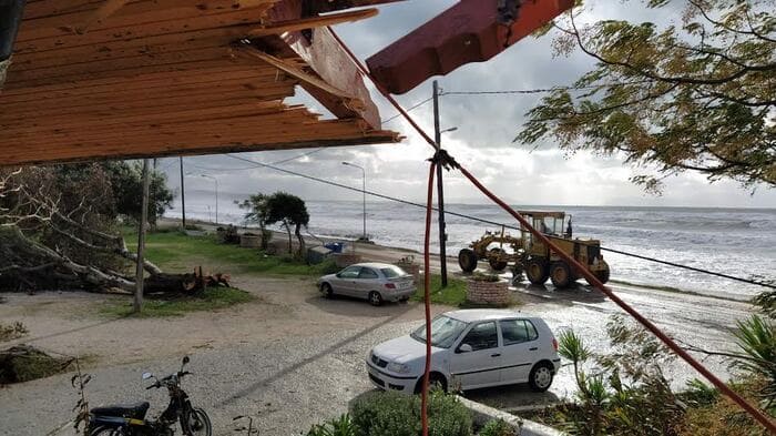 paralia zimies