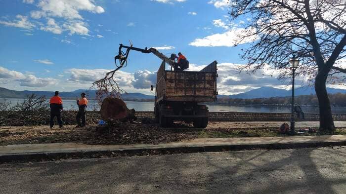 platania paralimnios2