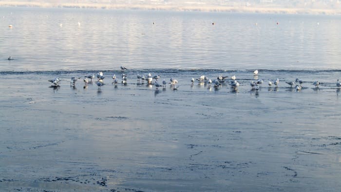 Παγωμένη Παμβώτιδα! ΦΩΤΟ 3 pagomeni limni3