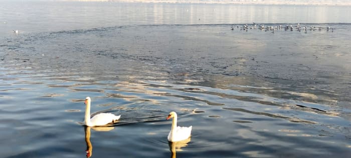 EpirusPost • Ειδήσεις, Ιωάννινα, Άρτα, Πρέβεζα, Θεσπρωτία • pagomeni limni5