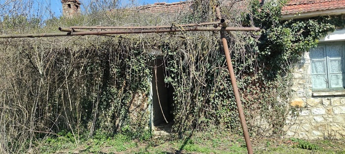 Αγρόκτημα Κατσικά.. Από την απαξίωση στην επιχείρηση αναγέννησης 6 agroktima4