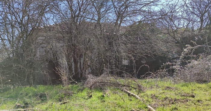 Αγρόκτημα Κατσικά.. Από την απαξίωση στην επιχείρηση αναγέννησης 5 agroktima5