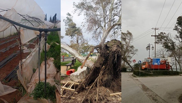 mpourini preveza zimies