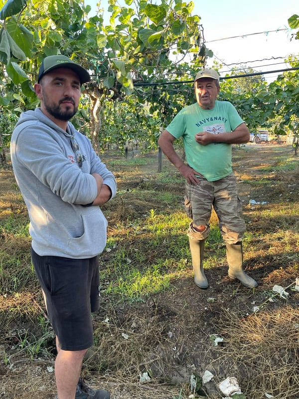 Οι άνεμοι σάρωσαν τον κάμπο, τεράστιες ζημιές στα ακτινίδια 2 aktinidia arta1