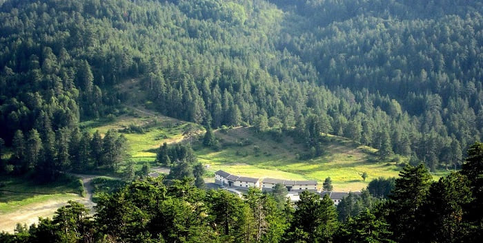 parko etnikis simfiliosis