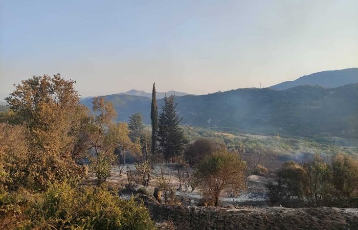 EpirusPost • Ειδήσεις, Ιωάννινα, Άρτα, Πρέβεζα, Θεσπρωτία • vrisoula f6