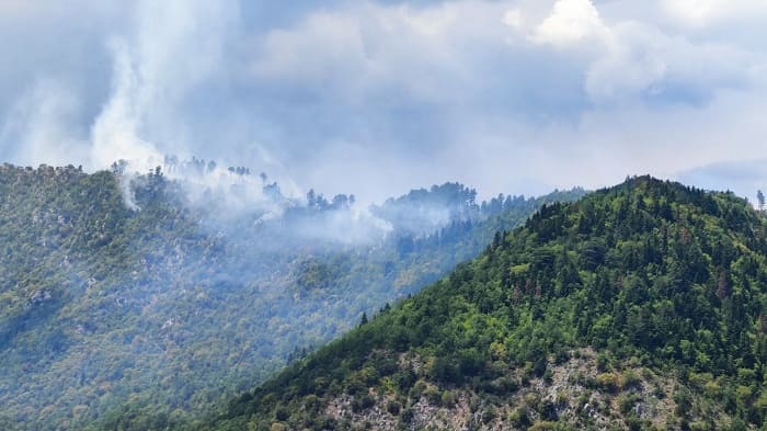 Αμάραντος: Μαίνεται η φωτιά, αδιάκοπη από αέρος επιχείρηση ΦΩΤΟ-ΒΙΝΤΕΟ 3 fotia amarantos3