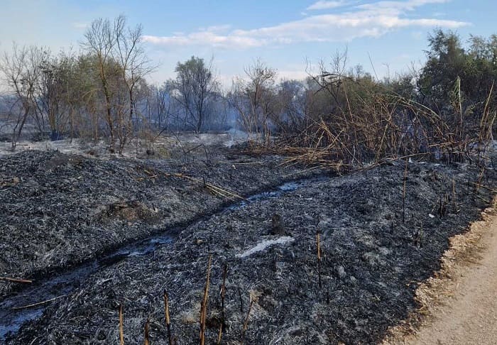 Δεν απειλείται οικισμός στο Μύτικα, συνεχίζεται η επιχείρηση κατάσβεσης-ΦΩΤΟ 1 fotia mitikas1