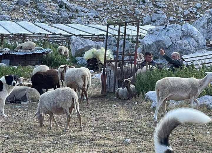 EpirusPost • Ειδήσεις, Ιωάννινα, Άρτα, Πρέβεζα, Θεσπρωτία • metakinoumenoi