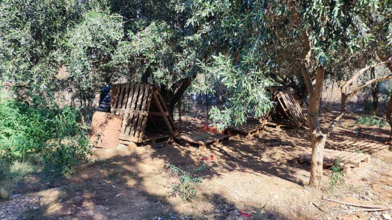 adespota ziros gia proti