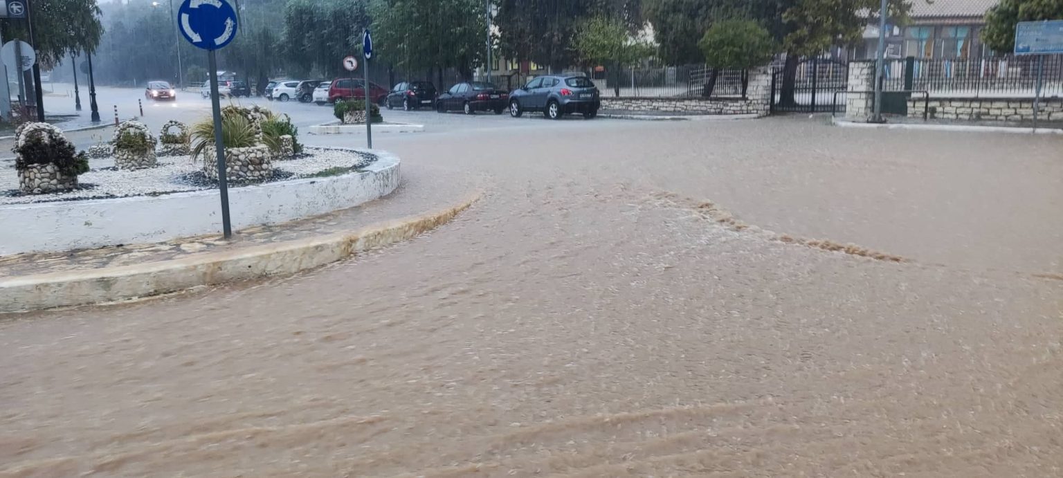sivota plimmires 1