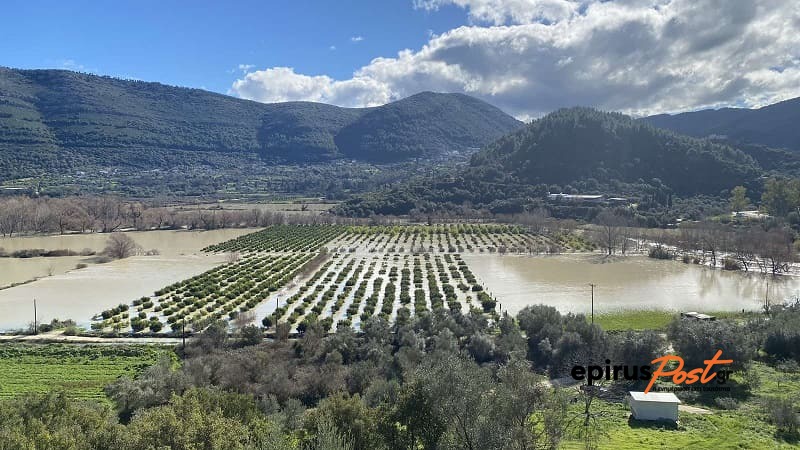 Μάχη με τους κορμούς πλατάνων στο φράγμα Ραγίου.. 3 platania ragio3