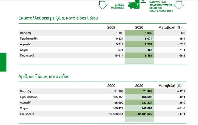 EpirusPost • Ειδήσεις, Ιωάννινα, Άρτα, Πρέβεζα, Θεσπρωτία • statistiki zoa