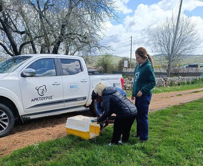 Επιχείρηση διάσωσης για ένα ζαρκαδάκι… μωρό! 1 zarkadaki moro1