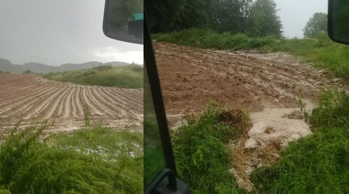 zimies patates xrisovitsa