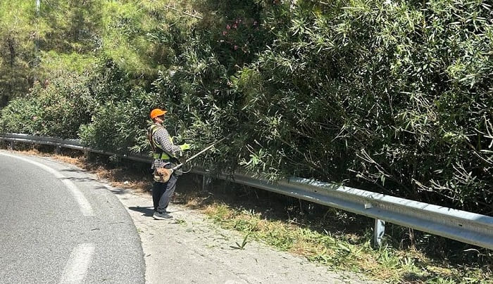 EpirusPost • Ειδήσεις, Ιωάννινα, Άρτα, Πρέβεζα, Θεσπρωτία • prasino katarismoi