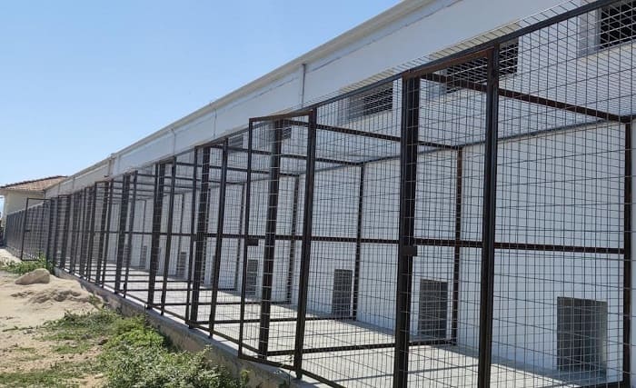 nea pteriga adespoton