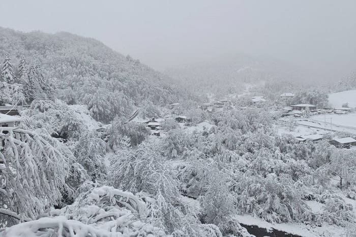 Λευκό τοπίο τα ορεινά της Ηπείρου! 1 milia