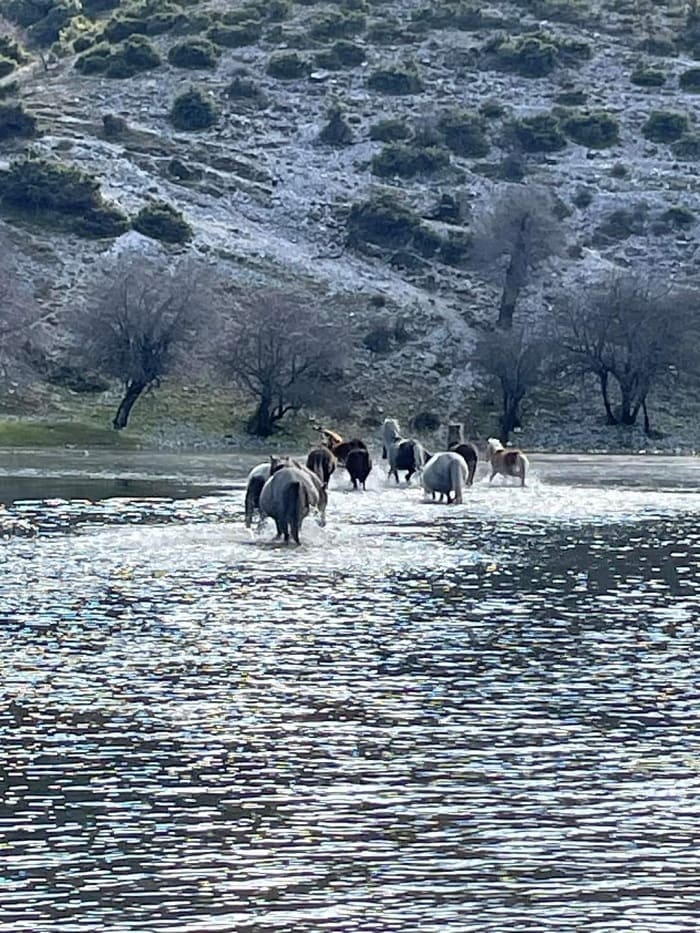 EpirusPost • Ειδήσεις, Ιωάννινα, Άρτα, Πρέβεζα, Θεσπρωτία • aloga