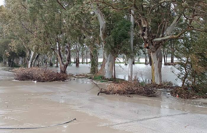 Θάλασσα και λιμνοθάλασσα έγιναν ένα και «εξαφάνισαν» το Δρέπανο 1 drepano