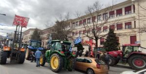 agrotes ioannina